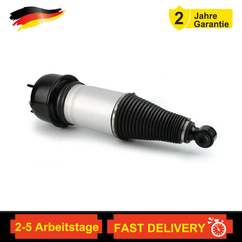 Stoßdämpfer hinten links - hinten,