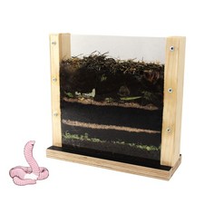 Regenwurm Beobachtungskasten