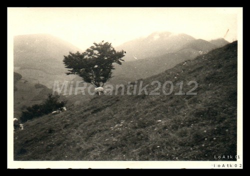 Foto arbeitsdienst neuenburg - foto,,