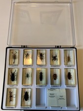 Mini biester sammlung - biester,
