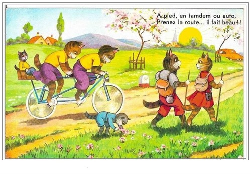 Chats fuß tandem oder - fuß,, im