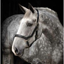 HORSEWARE RAMBO MICKLEM