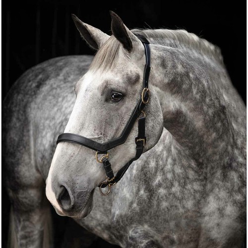 Horseware rambo micklem - rambo,