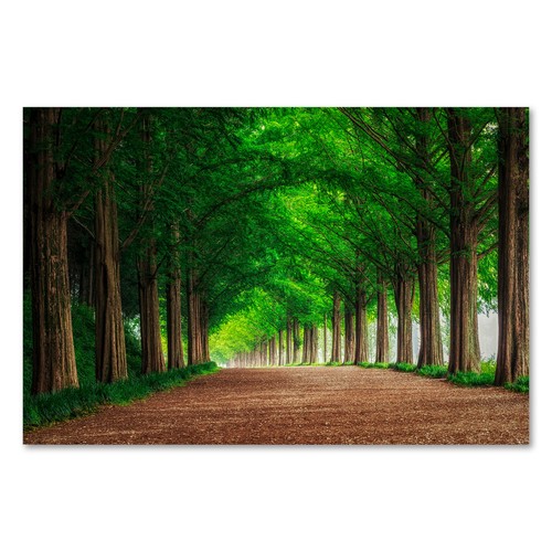 Postereck 2341 poster leinwand - postereck,