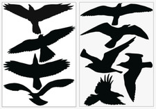 Vögel Schutz extra gross