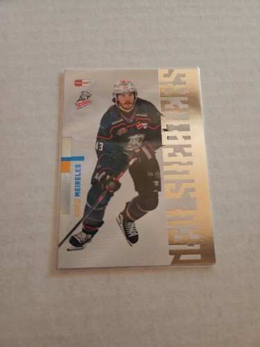 Del playercards saison 2025 - del, 2025/26