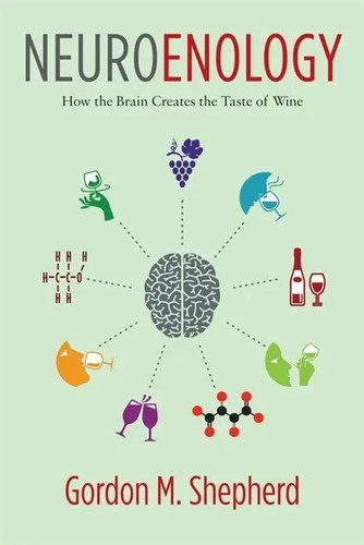 Neuroenology how the brain - neuroenology,