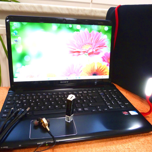 Set sony vaio - fit, 15