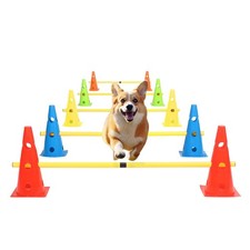 Dog Agility Training Set