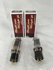Golden Voice 300B Plus Vacuum