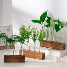 Hydrokultur Pflanzen Display Set Glas Röhre Vasen Holz Ständer Home Office Deko