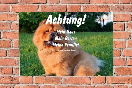 Schild hund chow - chow,