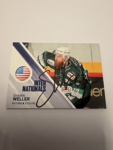 Del2 internationals bietigheim - del2,