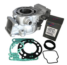 Kawasaki KX 80 85 Zylinder Kit