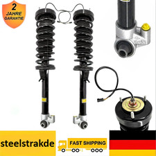 2x Hinten Stoßdämpfer Links