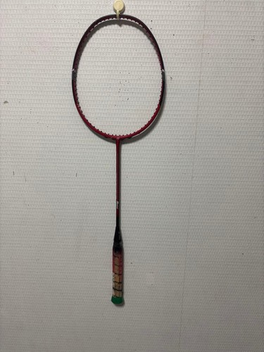 Badminton 100