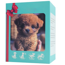 Nicoo Roboterhund Echt wirkend