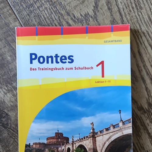 Pontes latein trainingsbuch - pontes,
