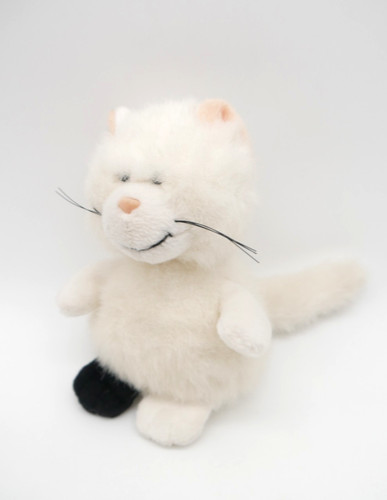 Nici katze weiß - katze, schwarzer