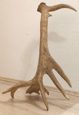 Hochkapitale Abwurfstange