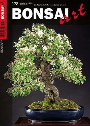 Neue bonsai art 178 - neue,