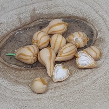 1:12 Miniatur Zwiebeln 9 + 2