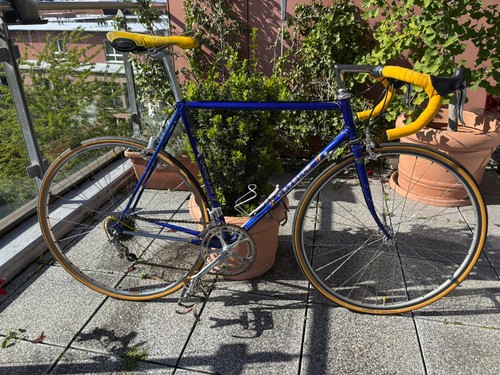 Gazelle champion mondial - champion,
