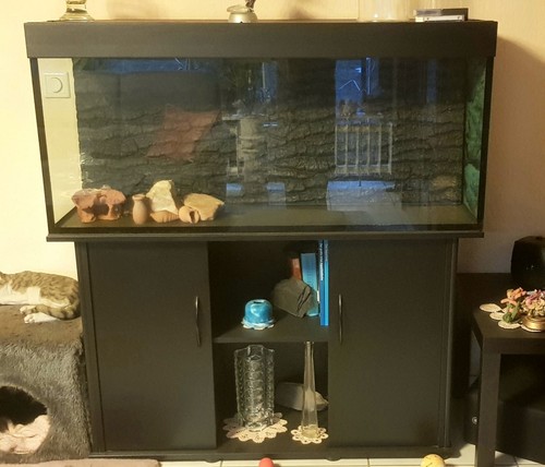 Juwel aquarium 240 - juwel,