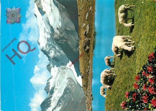 Ansichtskarte alpenmotiv aus - ansichtskarte::alpenmotiv,