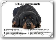 Warnschild - 20x30cm -