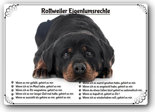 Warnschild 20x30cm - 20x30cm,