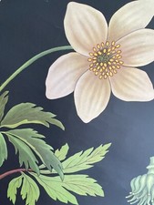 60er Lehrkarte Schulkarte