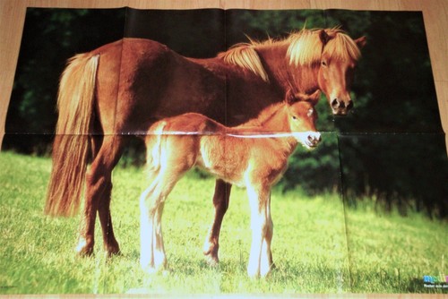 RIESEN-TIER-POSTER