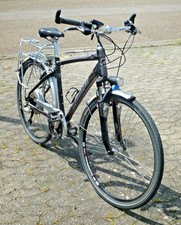 Diamant Zouma Sport e-Bike
