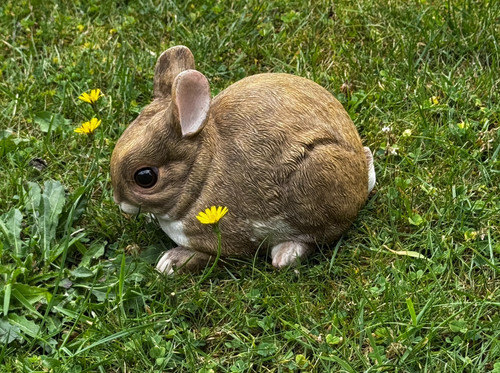 Hase groß osterhase - 16,