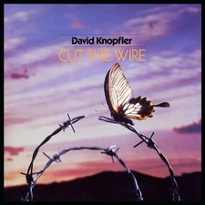 David Knopfler Cut The Wire