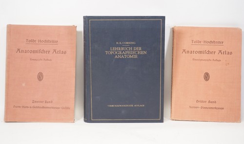 Tlg konvolut anatomie - 3-tlg.,