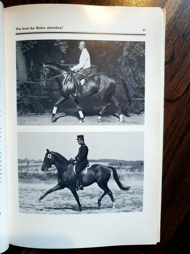 Reitlehre klassische dressur - *,