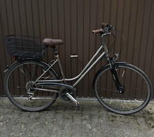 Raleigh Oakland City Bike 28