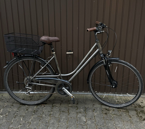Raleigh oakland city bike - raleigh,