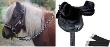 Shetland pony shetty - shetland,