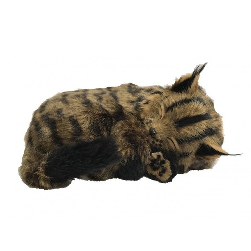 Perfect petzzz 92611 - petzzz,