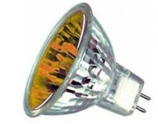 Lampe Birne für Dimplex