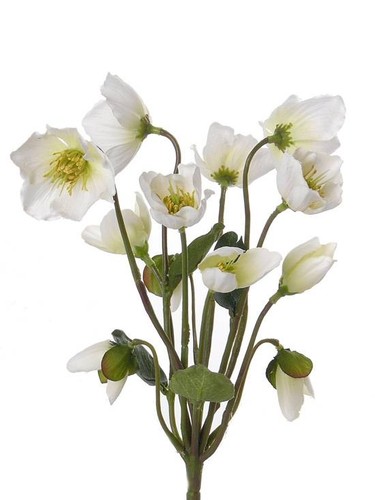 Artplants kunstblume - artplants,