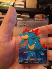 Pokemon Edibas Lamincards 2005