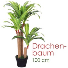 Drachenbaum kunstpflanze - drachenbaum,
