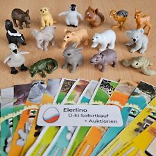 NEU BABY NATOONS 2025