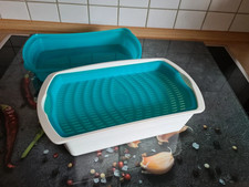 TUPPERWARE U23 FOUR SEASONS GROSSE LUNCHBOX 2,6 L MIT FRISCHEGITTER GRÜN WEISS