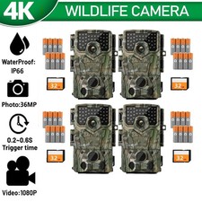 Wildkamera mit Nachtsicht