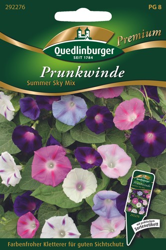 Prunkwinde summer sky mix - prunkwinde,